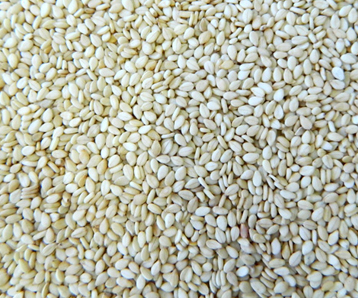 Hulled Sesame Seeds